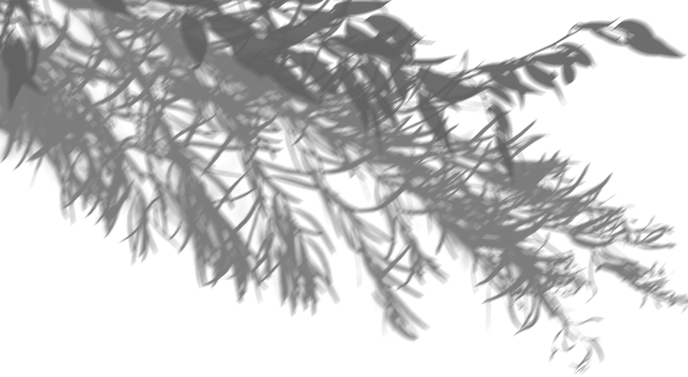Blurred Diagonal Bush Shadow